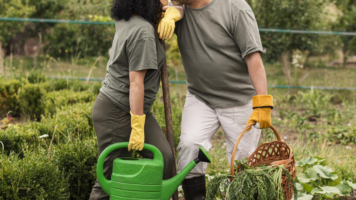 Saiba como cuidar das plantas nos meses de tempo seco