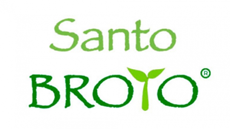 Santo Broto